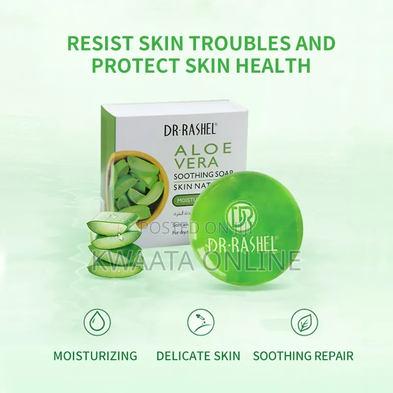 DR RASHEL Aloe Vera Moisturizing Soft and Smooth Skin Box Soap 100gr