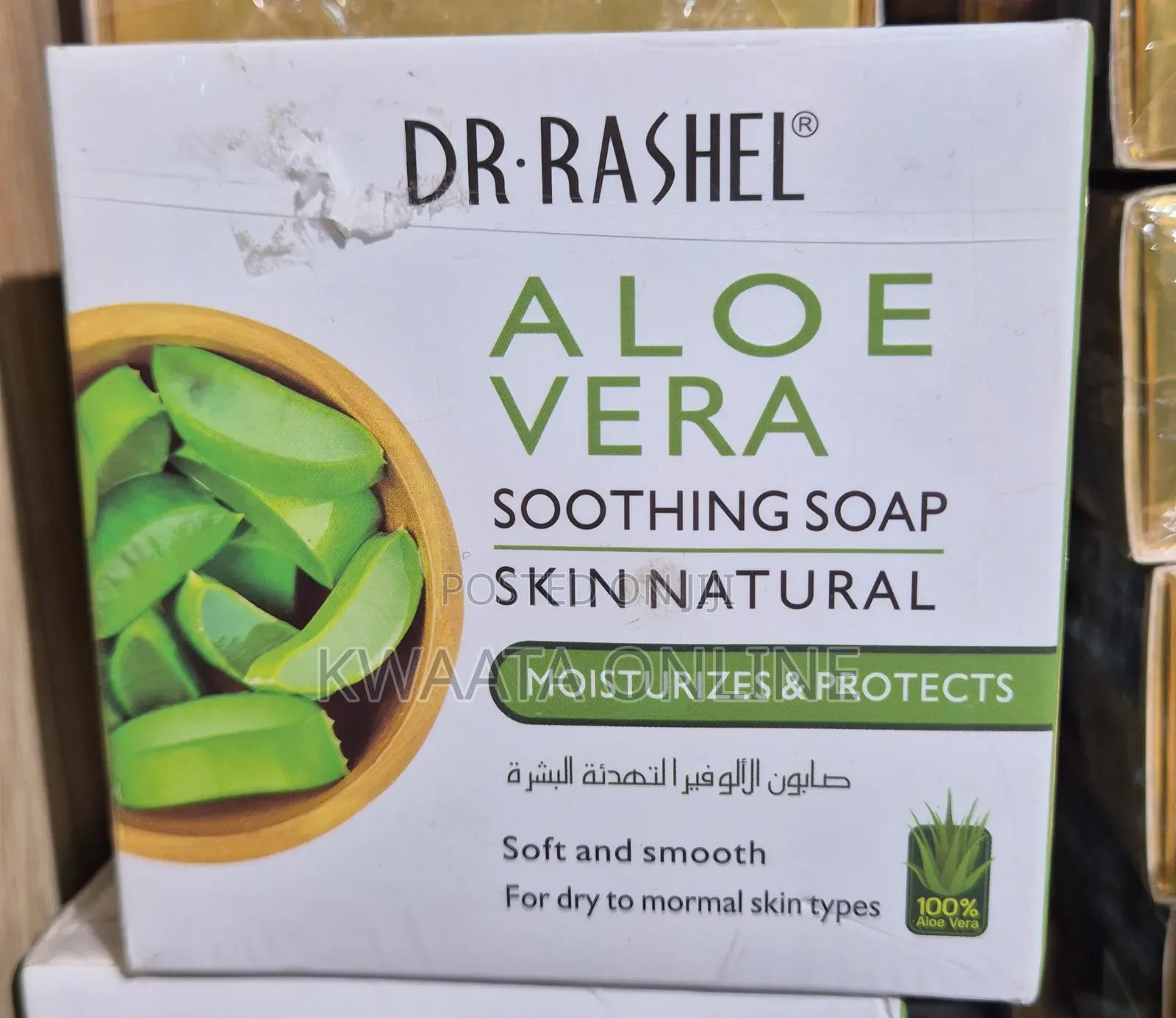 DR RASHEL Aloe Vera Moisturizing Soft and Smooth Skin Box Soap 100gr