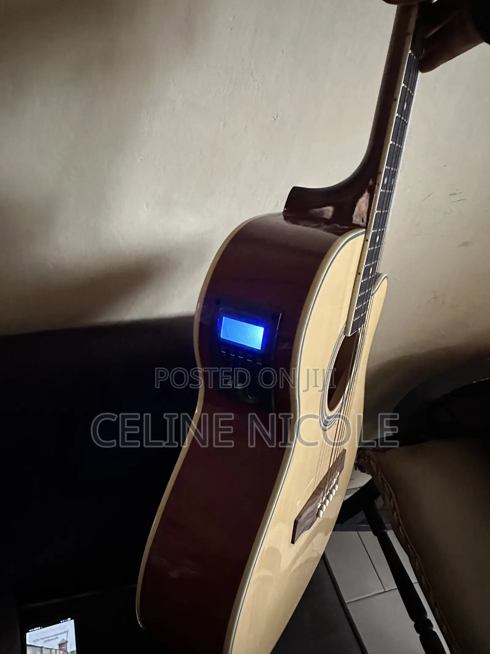 Ibanez Z4010EQ Acoustic-Electric Guitar