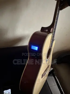 Ibanez Z4010EQ Acoustic-Electric Guitar