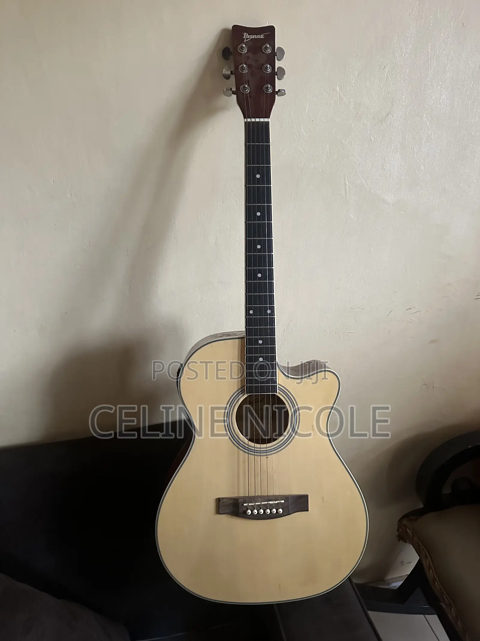 Ibanez Z4010EQ Acoustic-Electric Guitar