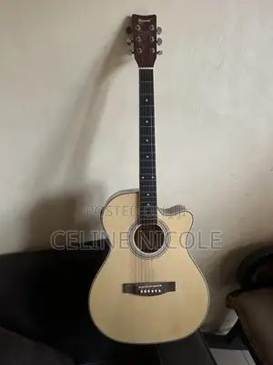 Ibanez Z4010EQ Acoustic-Electric Guitar