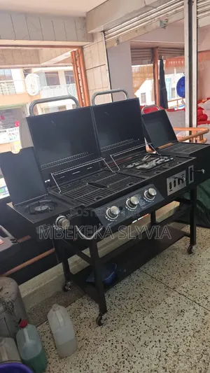 Executive BBQ Grill/Multifunctional Charcoal Gas Barbecue