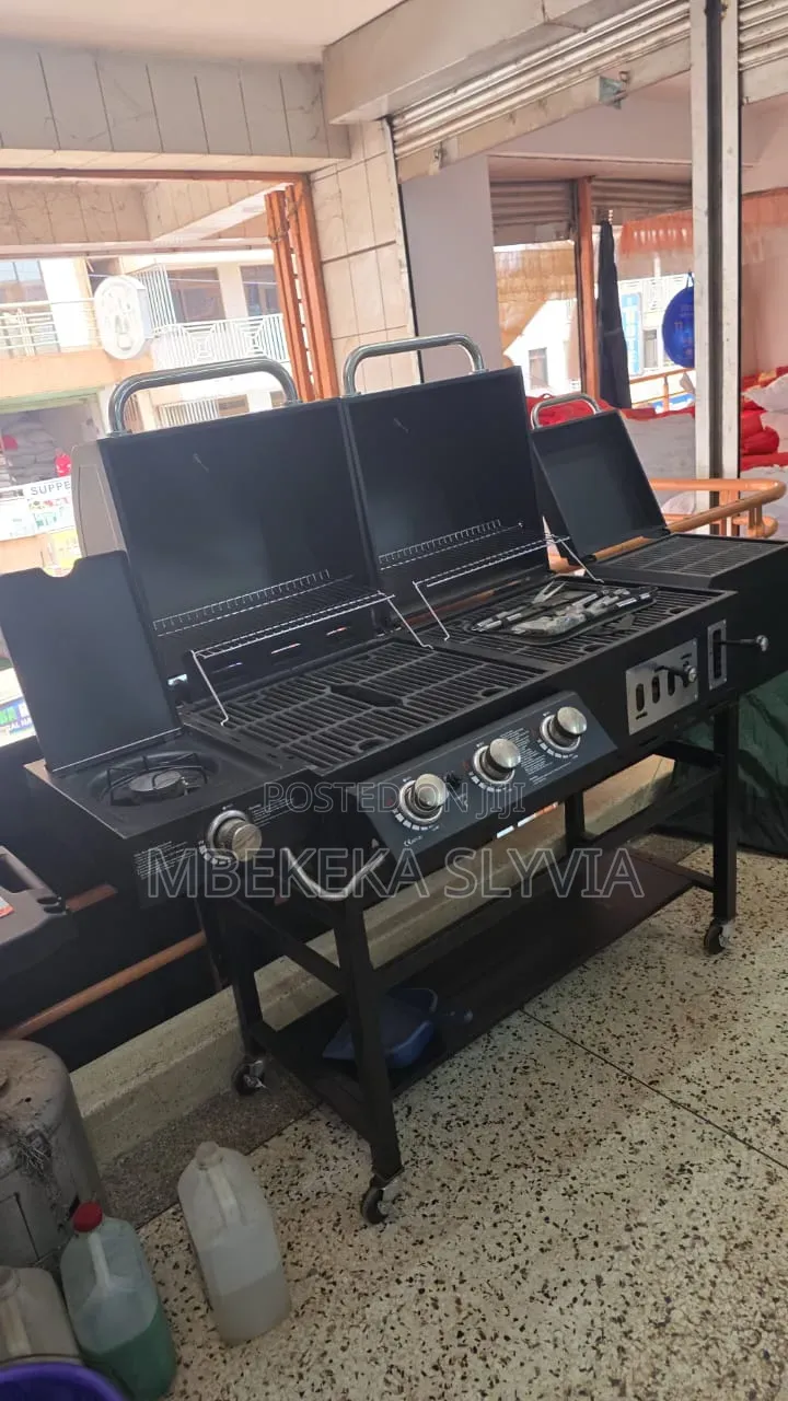 Executive BBQ Grill/Multifunctional Charcoal Gas Barbecue