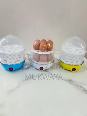 Electric Egg Steamers