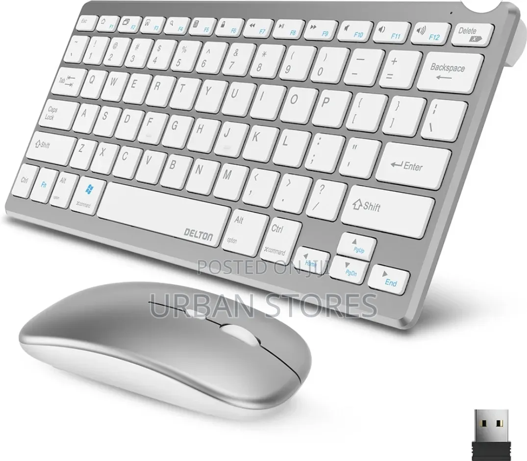 Wireless Mini Keyboard and Mouse Combo Silver