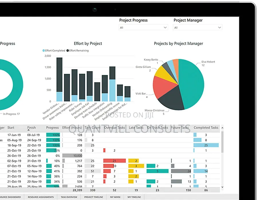 Ms Project Software