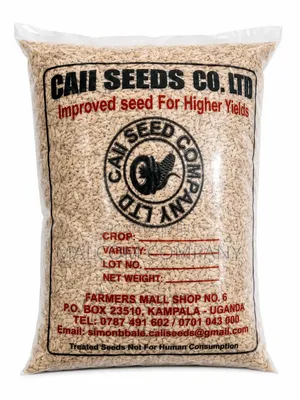Super Upland Rice Seeds 1kg.