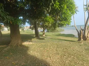 Very Beautiful Plot With Clear Lake View Forced Sale After Munyonyo