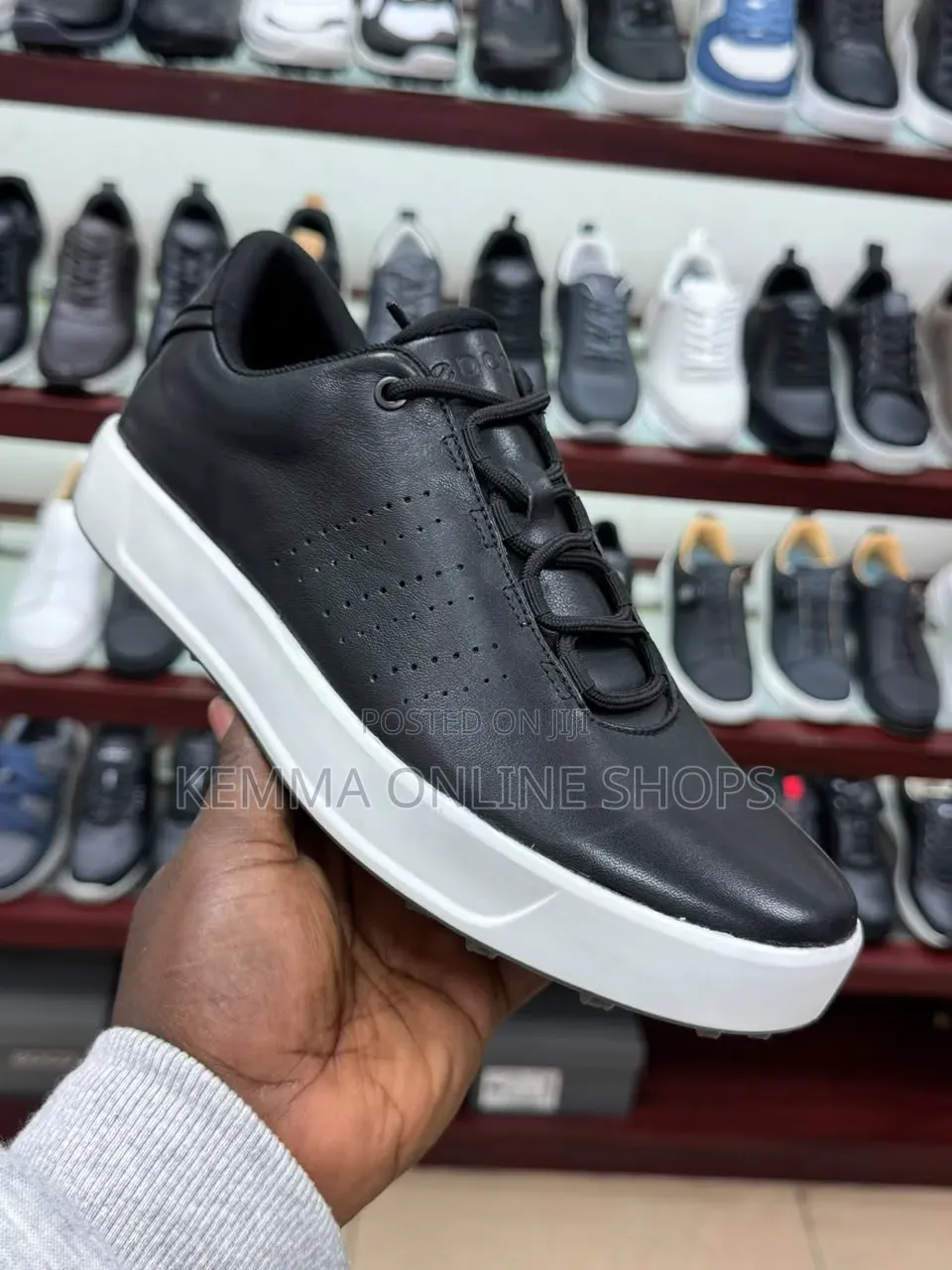 Premium Canvas Loafer and Sneakers
