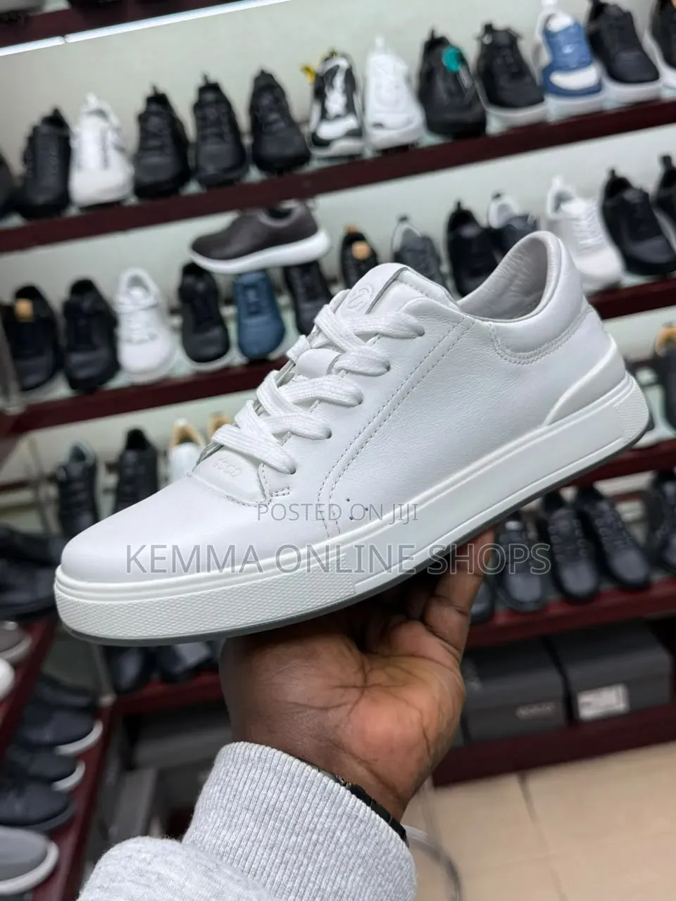 Premium Canvas Loafer and Sneakers