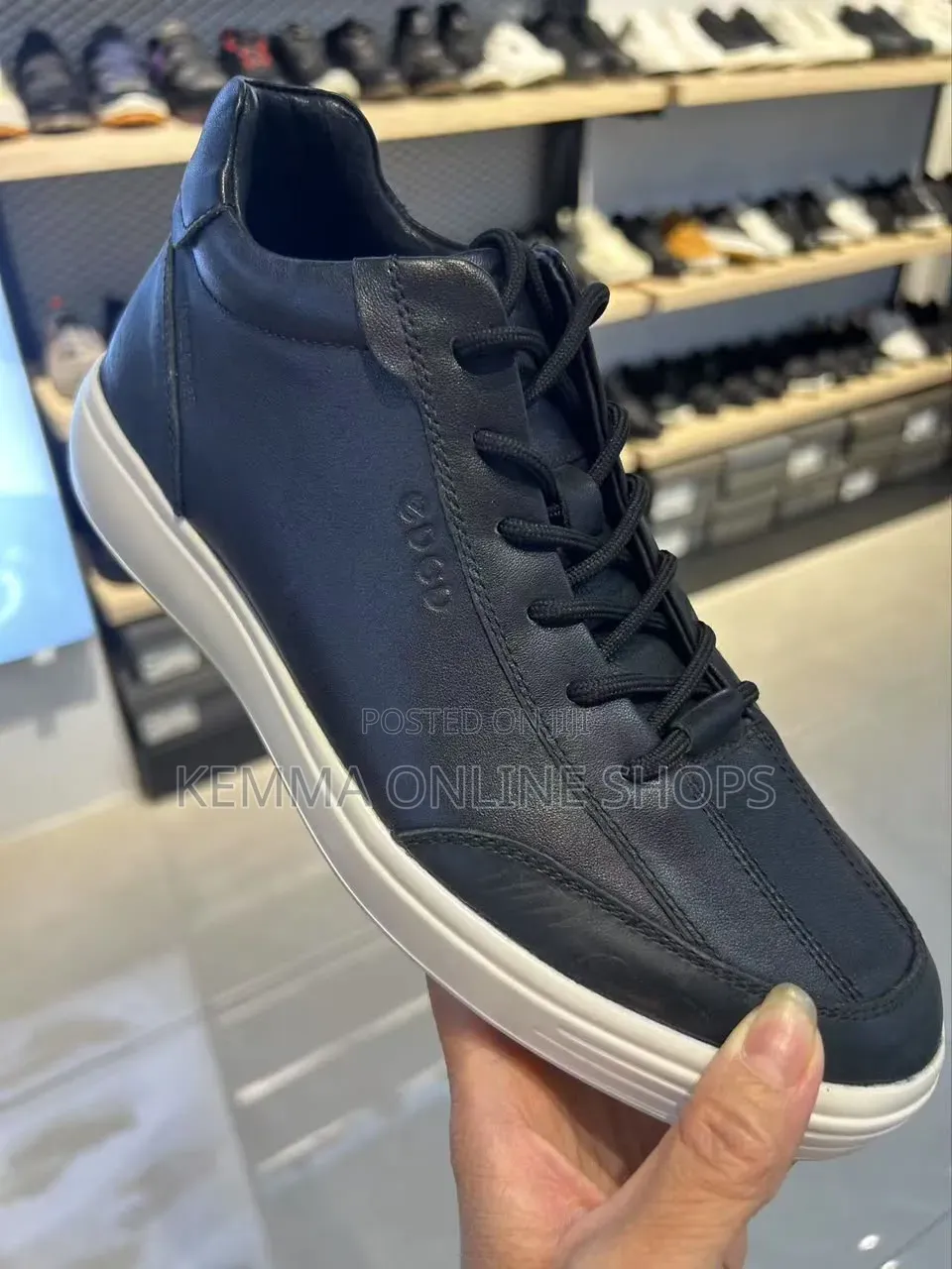 Premium Canvas Loafer and Sneakers