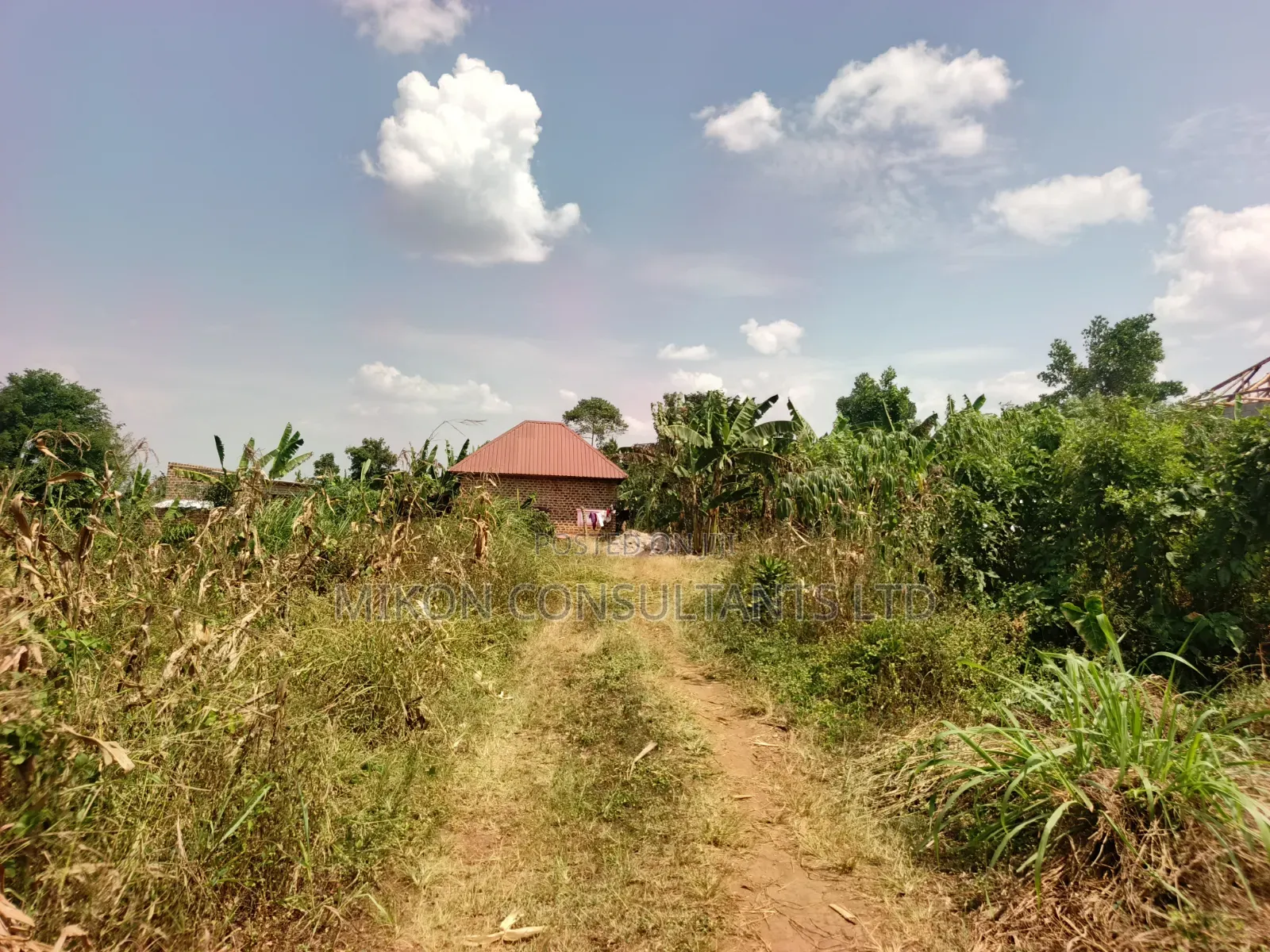 50 by 100 FTS Plot in Matuga Kavule