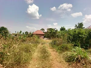 50 by 100 FTS Plot in Matuga Kavule