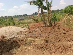 50 by 100 FTS Plot in Matuga Kavule