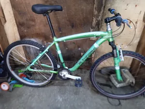 Alton Bike