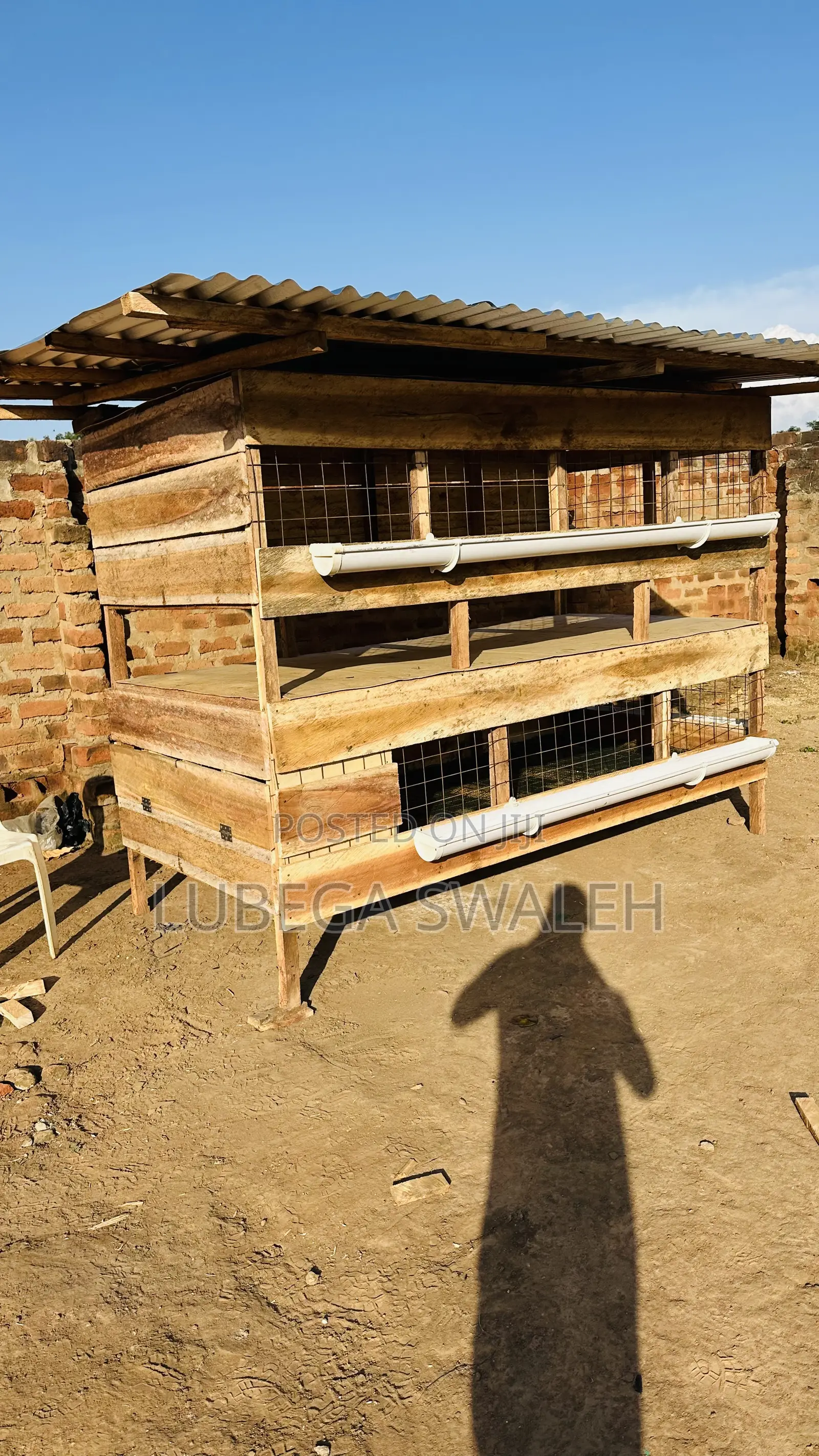 Chicken Cage