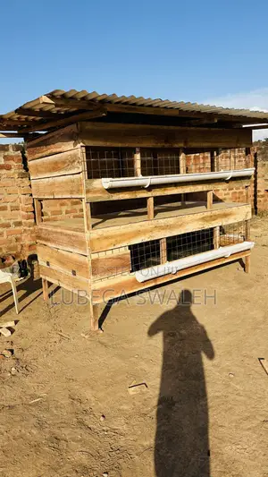 Chicken Cage