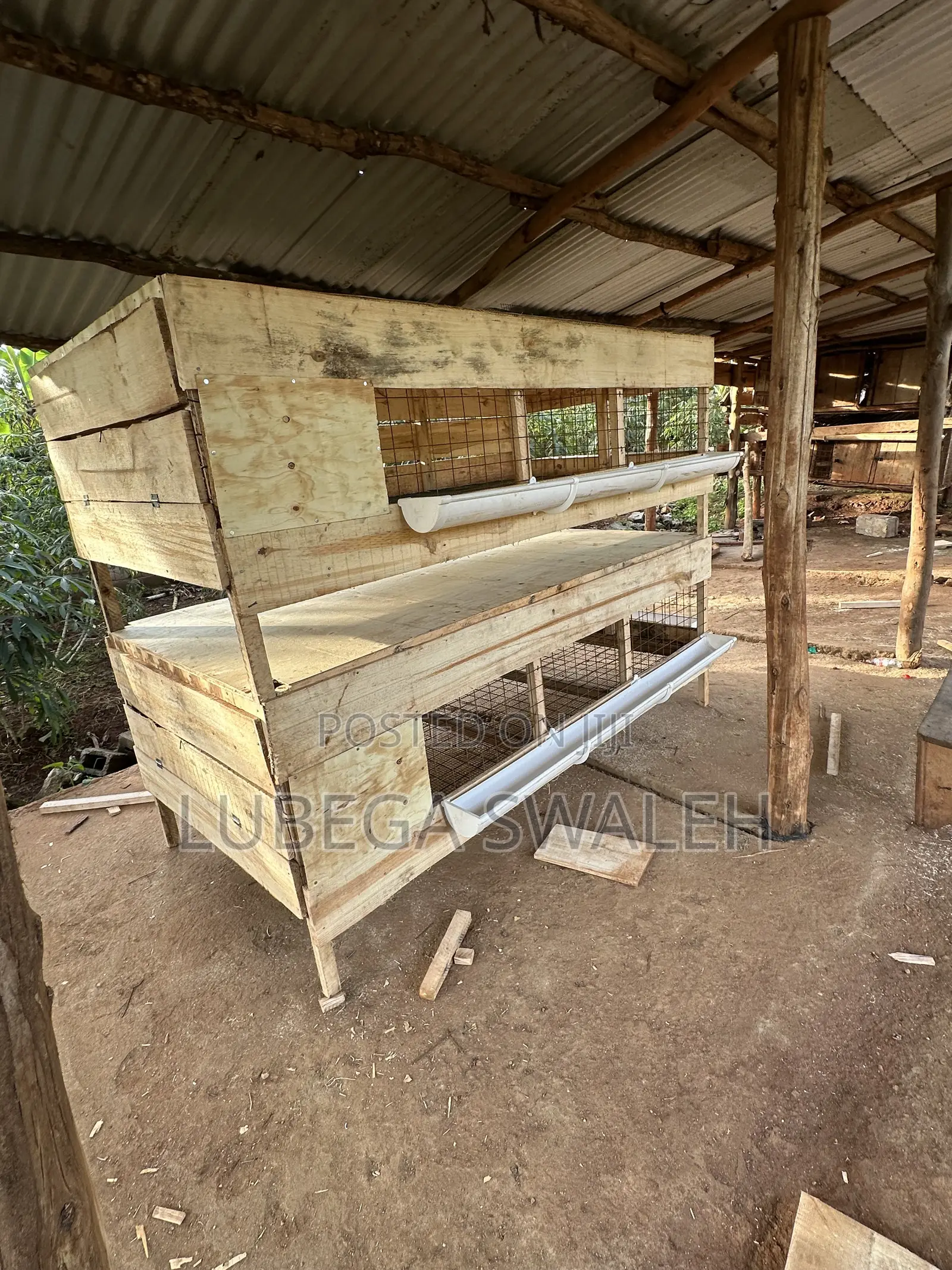Chicken Cage