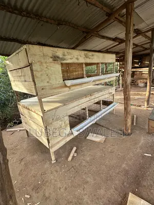 Chicken Cage