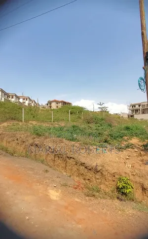Nsasa Kira