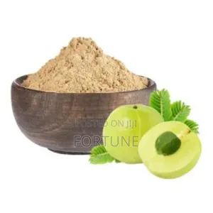 Amla Powder 250g
