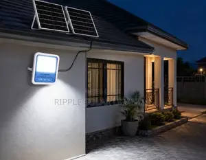 300w Solar Flood Light With 2 Panels Outdoor Security Light