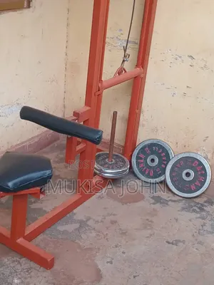 Chain Pull Up/ Weights Silver 35kg