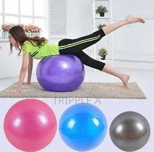 Sturdyfoot Exercise Ball Gym Ball