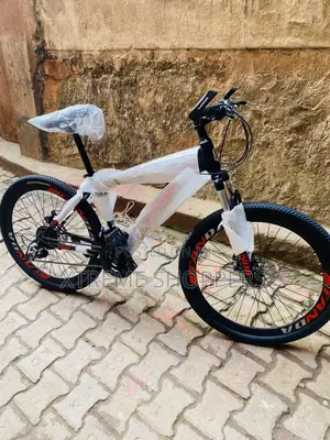 Budgeted Bike -Size 26” Bicycle Mixed Color