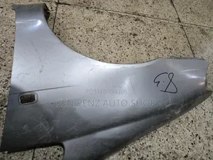 Corolla Spacio Side Fender