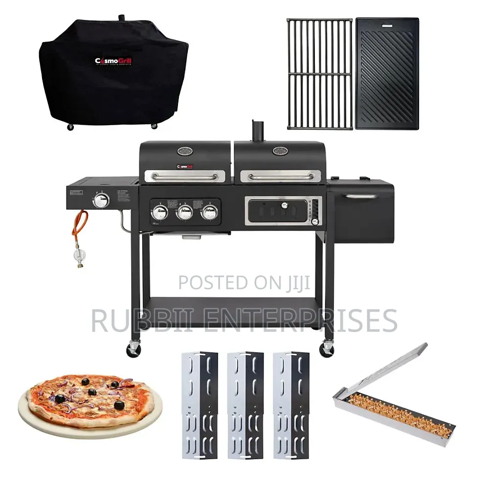 Dual BBQ Grill (LPG and Charcoal)