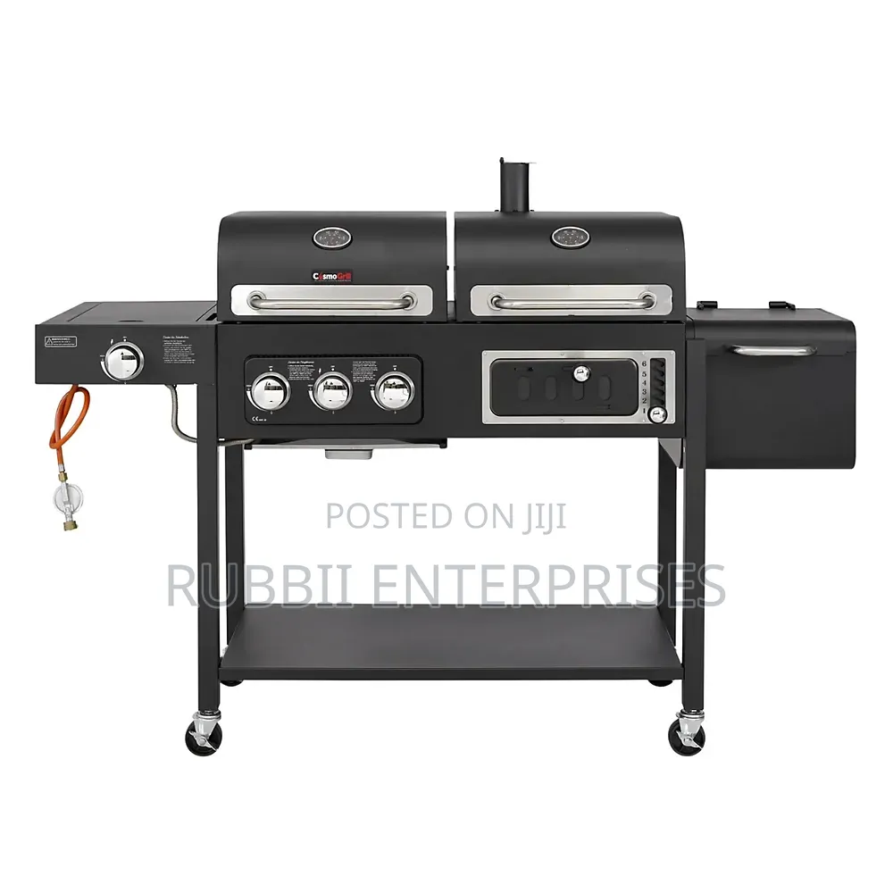 Dual BBQ Grill (LPG and Charcoal)