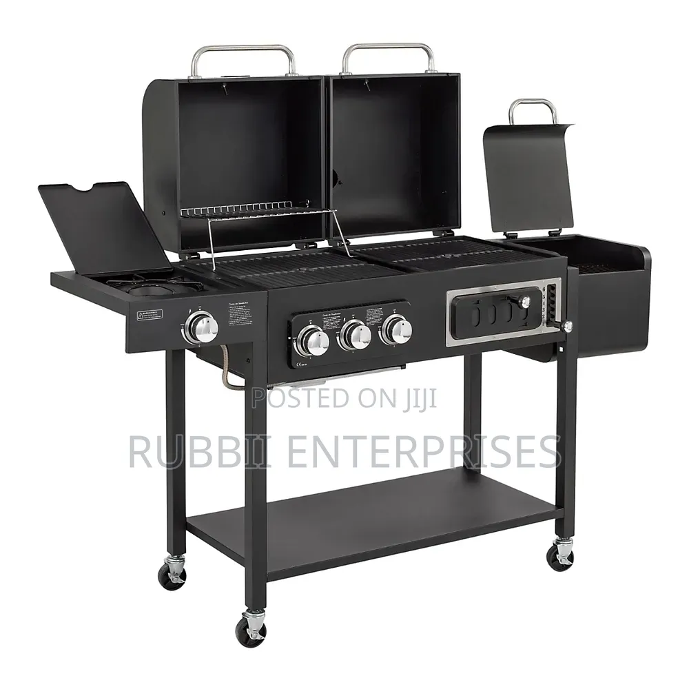 Dual BBQ Grill (LPG and Charcoal)