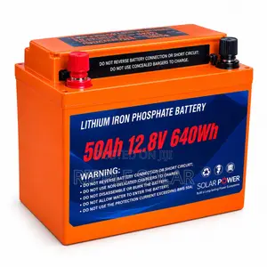50Ah Lithium Iron Phosphate Battery for Solar Power 12V