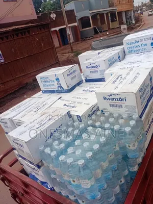 Rwenzori Water