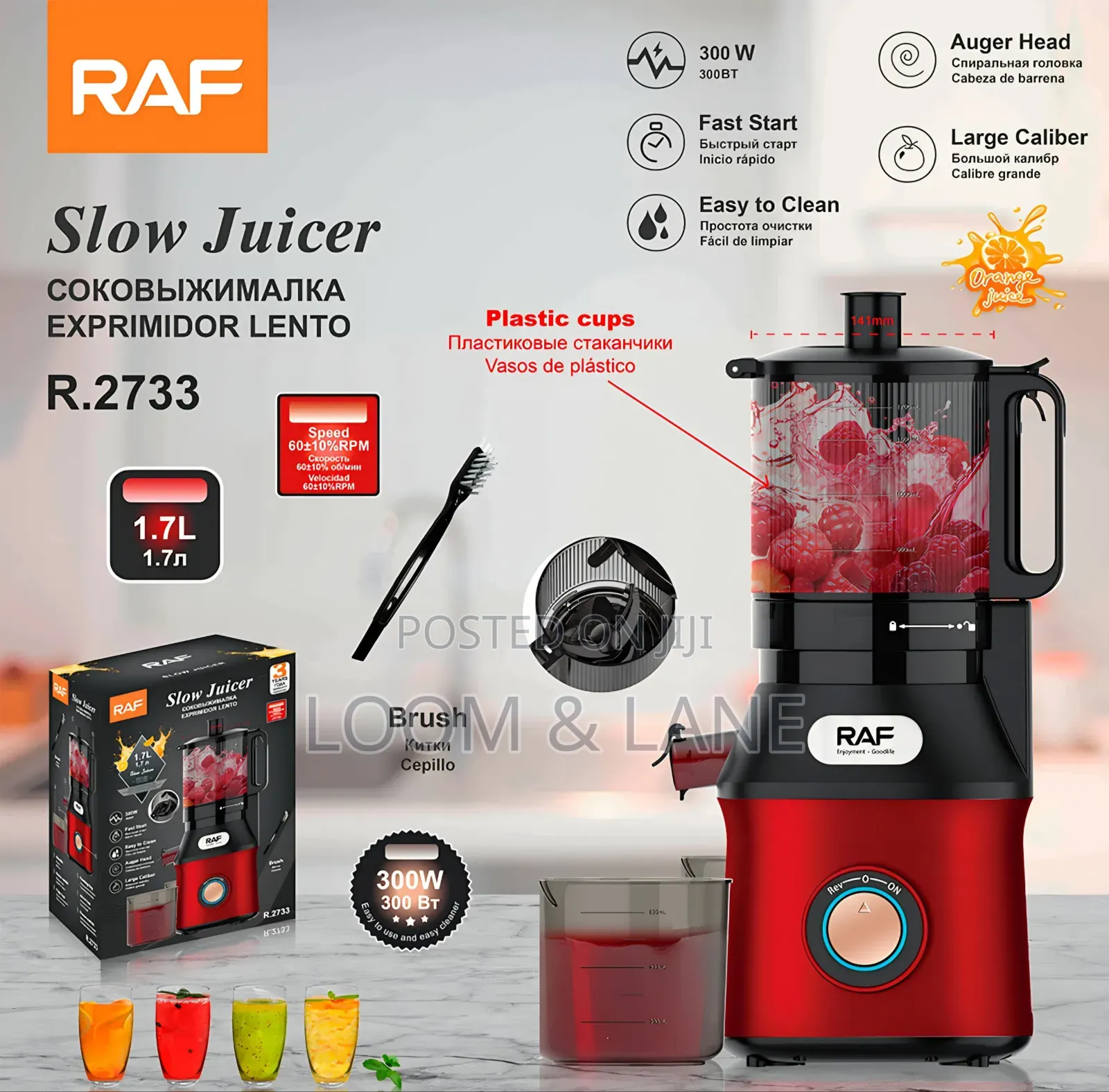 RAF Slow Juicer R.2733