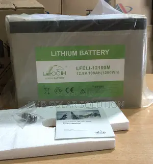 Leoch Lithium Battery LFELI-1200M