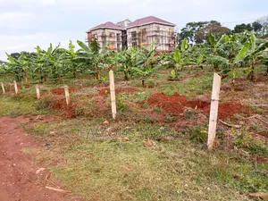 Entebbe Ozana Estate Kabaale