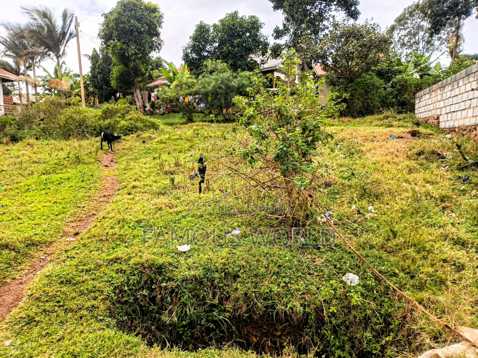 Entebbe Kabaale 56ft by 50 Plot for Sale