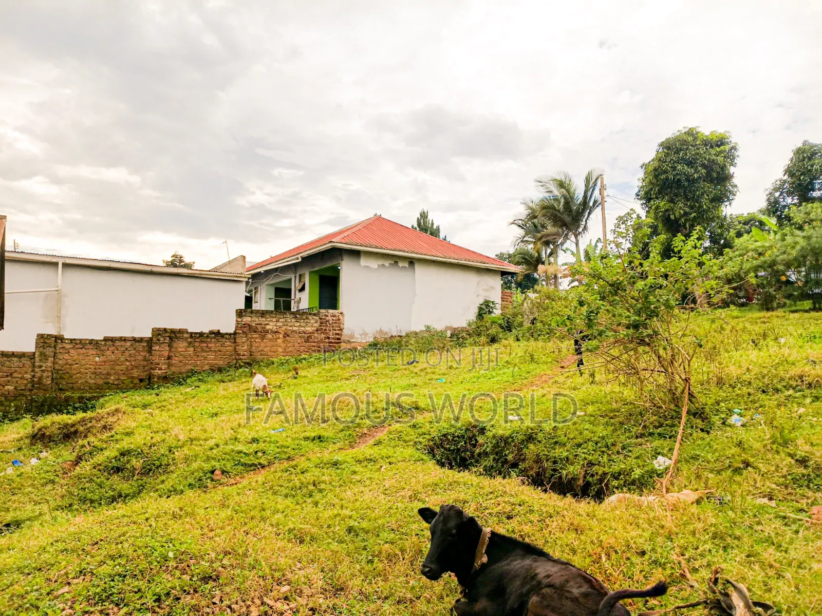 Entebbe Kabaale 56ft by 50 Plot for Sale
