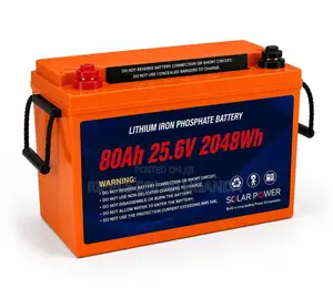 80Ah LiFePO4 Lithium Battery 2048Wh Solar Backup Battery 24V