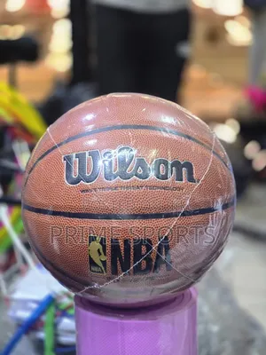 Wilson Baskitball (NBA GOLD)
