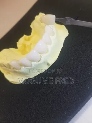 Dental Technogist