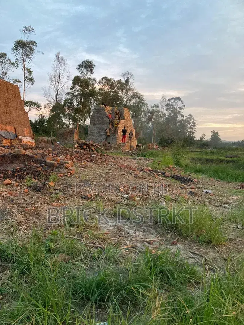 Clay Bricks