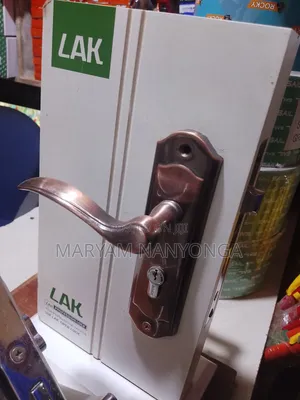 Professional Lak Lock
