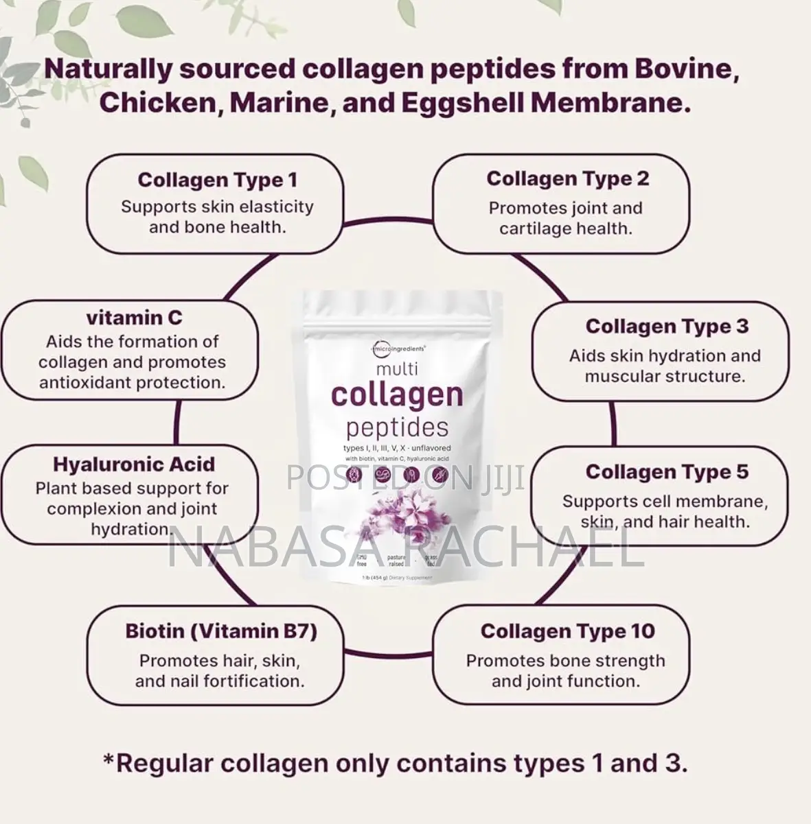 Anti Aging Multi Collagen Peptides