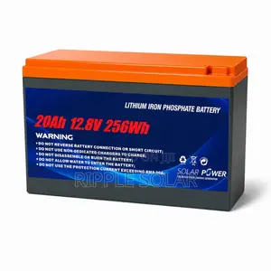 12V 20Ah LiFePO4 Lithium Battery 256Wh Solar Backup Battery
