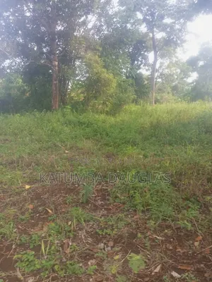Plot Masavu