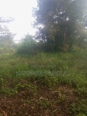Plot Masavu